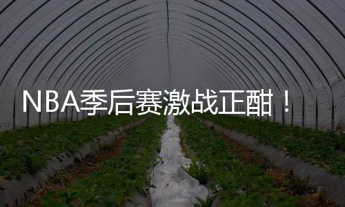 衔红单正酣后赛红领刘0连畅篮彩1A季激战